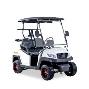 Quality Electric Golf Buggy 2 Passenger with Intelligent Onboard Charger wholesale