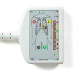 Compatible Fukuda Denshi 10Lead EKG Cable for CardiMax FX-7202, CardiMax FX-7402