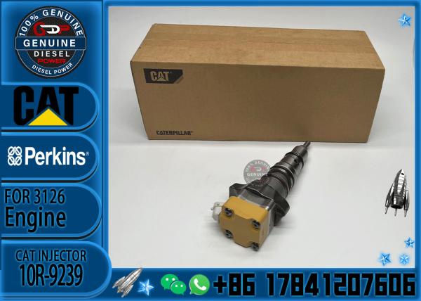 Injector 222-5972 10R9239 2225972 10R-9239 141-7837 173-1013 173-9272 196-4229