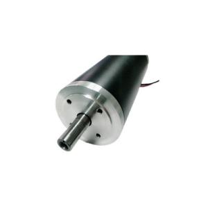 Quality Long Live Automotive DC Motors Dual Shafts Design Dunker Motors Replacements wholesale