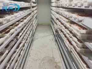 Quality Fresh Tuna Small Tunnel Plate Blast Walk In Freezer Industrial Seafood Iqf Cold Contact Panel wholesale