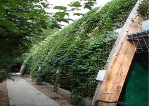 Quality High Intensity Stainless Steel Trellis Abrasion Resistant Without Toxic Material wholesale