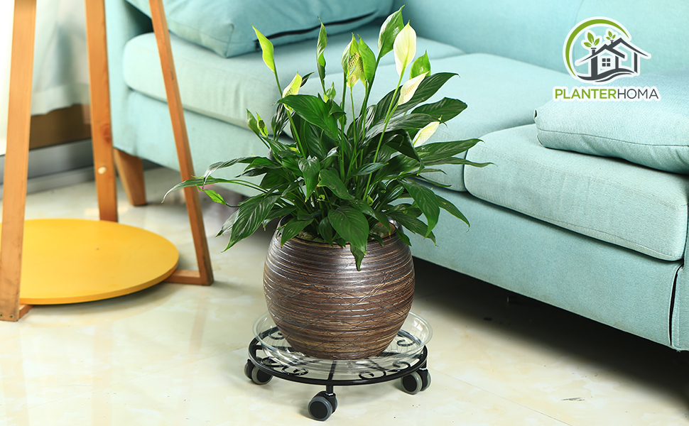 ISO9001 2008 Certified Metal Plant Caddy with Caster 11.8 Inches Plant Stand on Wheels