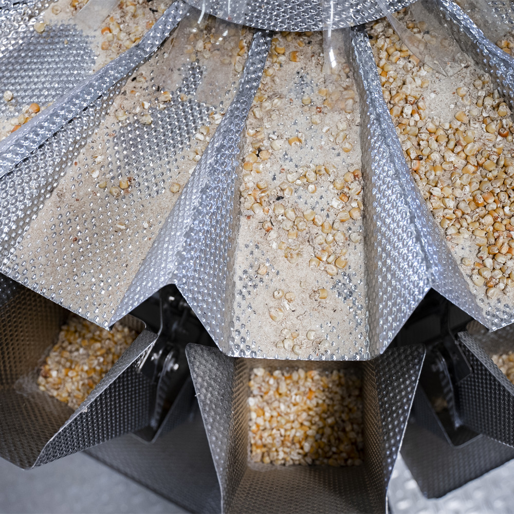 Sss Dried Fruit Line High-Speed Processing 1-100t/h