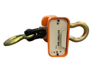 Quality Overload Alarm 15t Electronic Crane Scale For Logistics wholesale