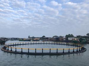 Quality Hdpe Circular Round 30m Floating Fish Cage wholesale