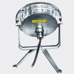 Stainless Steel IP68 Waterproof Boat Remote Spotlight , 12 Volt Marine