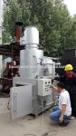 0.37KW Hospital Waste Incinerator for Disposing of Animal Carcasses and Medical