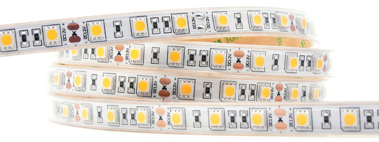 Waterproof 5050 Single Color LED Strip Lights 12V 24V Warm White Blue Green Outdoor IP65 IP68