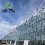 Customization Juxiang Greenhouse's Customizable Commercial Film and Glass