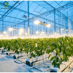 Quality High Yield Large Vertical Hydroponic Greenhouse Soilless Cultivation wholesale