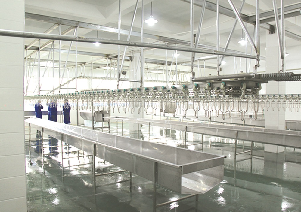 Customized Slaughter Line for Poultry Chicken Duck Goose Poultry Processing Equipment