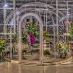 Weather Resistant Bubble Tent House Versatility Transparent Dome House