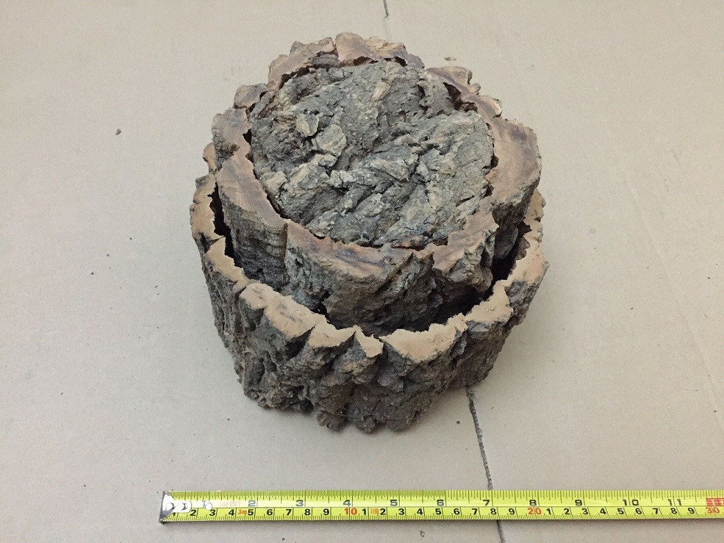 Environmental Round Cork Bark Planter for Indoor or Outdoor Gardening