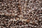 530gsm Leopard Print Polyester Fabric For Unique Fashion 100% Polyester Fabric