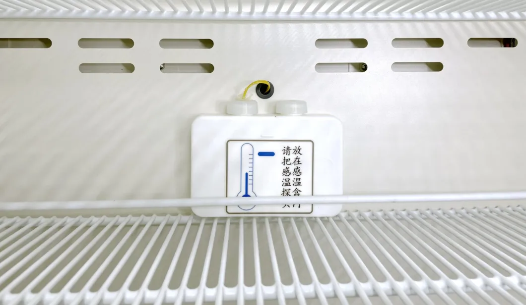 Large Capacity 1006L Side by Side Vertical Stand Medical Pharmacy Vaccine Refrigerator 2-8 Degrees