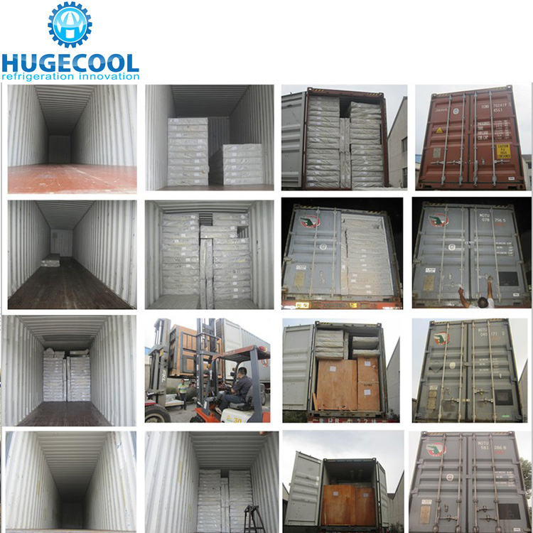 Prefabricated cold room for fruit for fish meat seafood