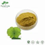 Food Ingredients 5% Lotus Leaf Extract Powder Nuciferine