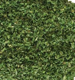 Quality FD Chives wholesale