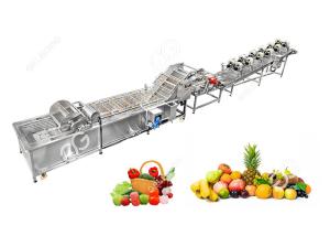 Quality Automatic Vegetable Washer Fruit Washer Machine Vegetable Washing Line wholesale