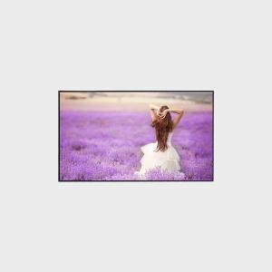 Quality 55 inch High Brirghtness LCD Display 3840*2160 V-by-One 3000 Nits Display wholesale