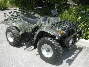 Quality China ATV250CC05 wholesale