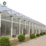 9.6m PC Sheet Greenhouse