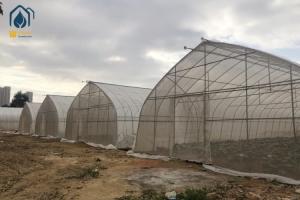 Quality PE PO Film Tunnel Greenhouse Commercial Agricultural Greenhouse Customizable wholesale