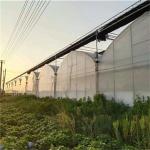 PO Single Layer Greenhouse for Agriculture Boost Agricultural Production