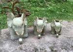 Succulent Creative Animals Wild Elephant Plant Flowerpots