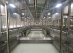 PT ED Equipment/Automotive Paint Shop