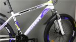 26 inch Shimano 21 speeds disc brake hi-ten steel special shape mountain bicicle