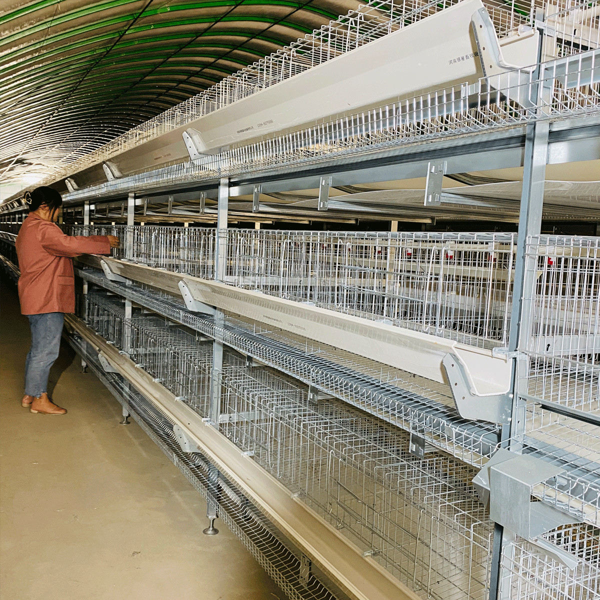 Layer Chicken Poultry Cage Cold Galvanized Steel Wire Mesh