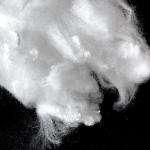Makeit Lyocell Staple Fiber For Baby Products 1.2D*38MM