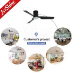 Plastic Blades 52" Smart Ceiling Fan with WiFi Music Play and Metal Lamp Body