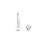 Stainless Steel Waterproof Screw Torx Pan Head Self Drilling Screw 100% QC