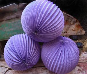 Quality 12 Lavender Accordion Paper Lantern - (3 Pack) wholesale