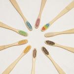 100% Organic Compostable Bamboo Charcoal Toothbrush Eco Friendly
