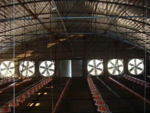 Quality Greenhouse Exhaust Fan wholesale