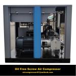 Small Scroll Oil-Free\Oilless Air Compressors Manufacturer