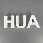 Custom High Quality Acrylic Advertising Signs LED Acrylic Luminous Letter Signs