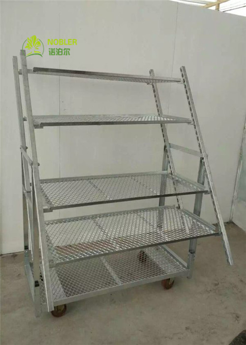 Display Type Plywood Danish Flower Trolley Rust Prevention Assembly Convenient