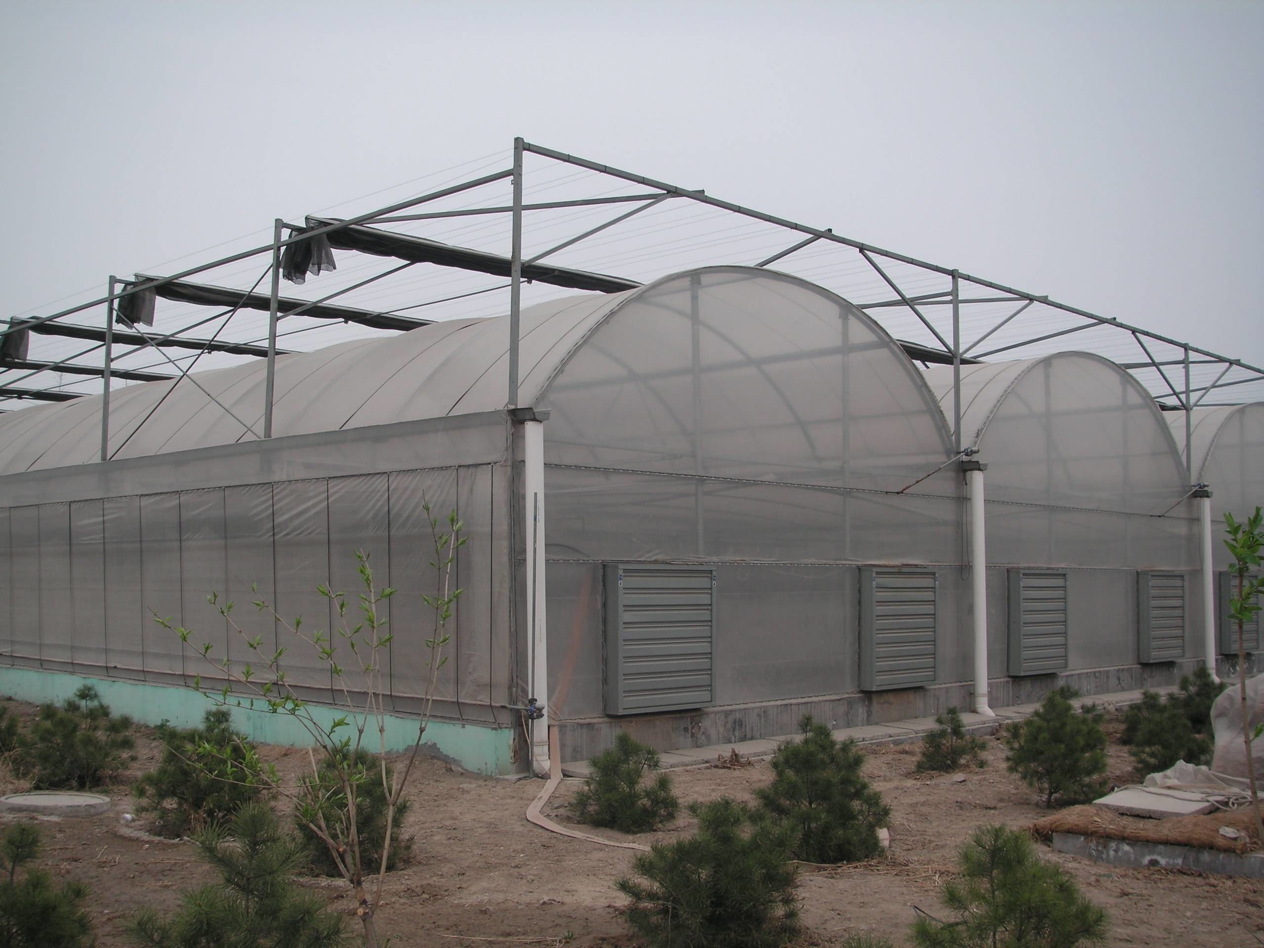 Multi Span Polyethylene Plastic Sheeting Greenhouse Arched Roof Top Height 4.0-8.0m