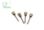 White Bristle Brush Dental Polishing Kit Teeth Polishing Brush