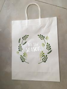 Quality Custom logo hot foil stamping shopping bag kraft paper bag with twisted handle wholesale
