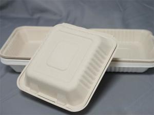 Quality White Hinged Bagasse Takeaway Boxes 431x199x38mm wholesale