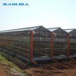 Heavy Duty Gaivalnized Steel Pipe Glass Multi Span Greenhouses Venlo Type