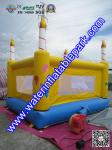 Kids Inflatable Bouncy Castle Rental , Birthday Jumping Castle