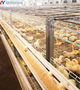 Quality Multifunctional Broiler Chicken Layer Battery Cage Automatic Poultry Farming Cage wholesale