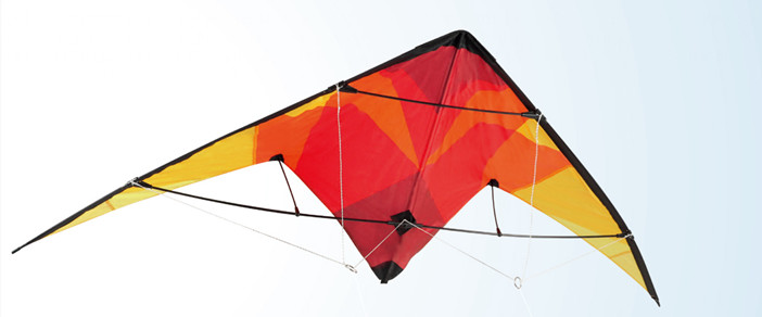Oem 170*70cm Dual Line Sports Delta Stunt Kite with Woven Roving Material